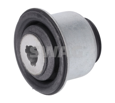 Supporto, Braccio oscillante - 60 60 0018 SWAG